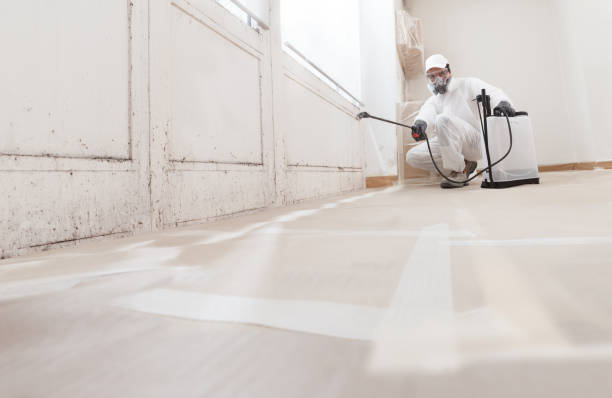 24/7 Emergency Basement Mold Remediation experts in Arlington Heights, PA